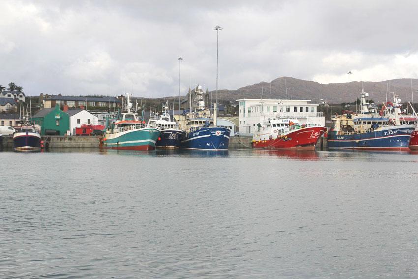 The Beara Coast Hotel Castletownbere Exterior photo